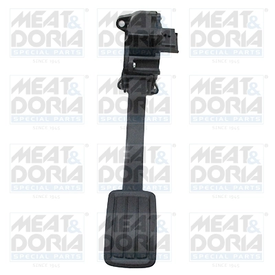 Accelerator Pedal Unit